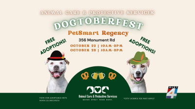 Pet friends top jewelry petsmart