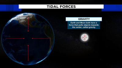 How the Moon's Gravity Influences Earth