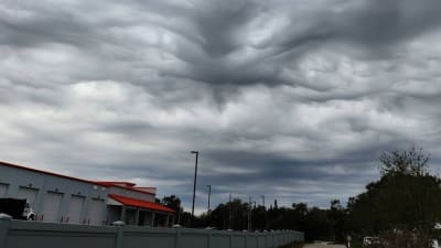 Flogos Cloud Effect: Flying Logos Florida : flogos are social