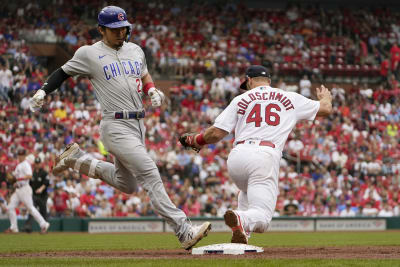 Cardinals 8, Cubs 4: Albert Pujols nearly homers in next-to-last game  against rivals - Chicago Sun-Times