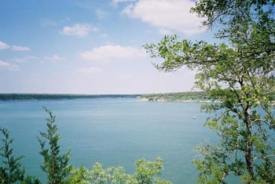 Aquarium “moss balls” could contain invasive zebra mussels