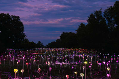 9+ Rock Solar Lights