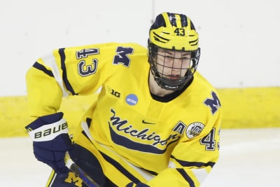 Luke Hughes is drafted 4th by New Jersey Devils, thrilling Jack Hughes