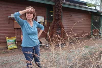 Large tumbleweeds sweep through neighborhood, cover houses