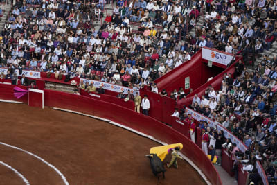 Mexico Bullfight Schedule 2025 Calendar