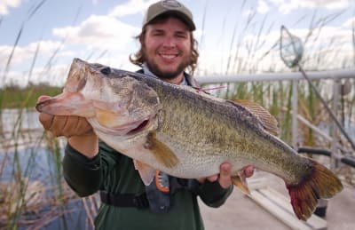 Bass, Freshwater, River, Lake