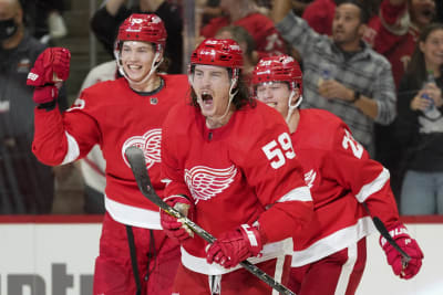 Who's in the mix for Red Wings' jobs? Preseason will sort it out 