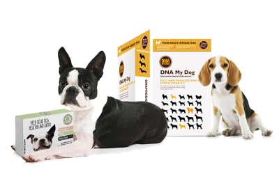 Dog dna sale discount