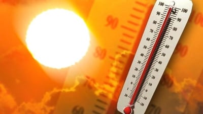 Heat index: Why humidity makes it feel hotter than the actual air