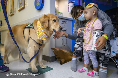 PHOTOS: Facility dogs show Astros spirit at Children's Memorial