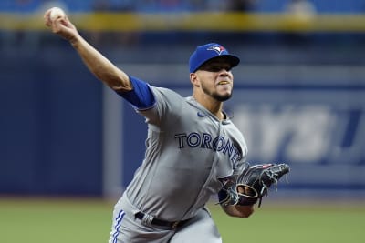 St. Petersburg, FL. USA; Toronto Blue Jays left fielder Lourdes