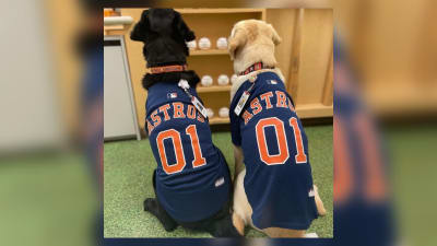 PHOTOS: Facility dogs show Astros spirit at Children's Memorial