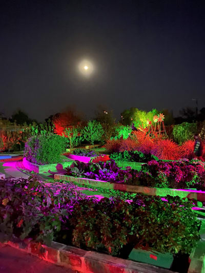 botanical gardens lightscape