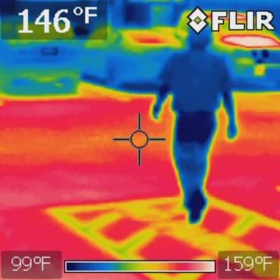 Could Your Car Become a Heat Trap? - FOUR PAWS in US - Global