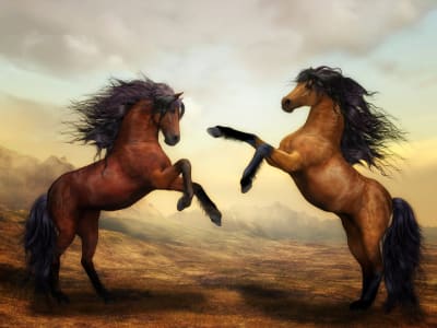 Fun Quiz: What's your Spirit Animal? Fun Quiz: What's your Spirit Animal?