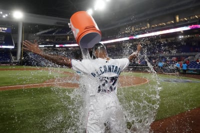 The story of Marlins Man: Baseball's biggest fan and mysterious Twitter  star 