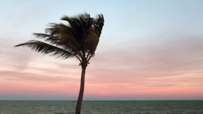 Why has it been so windy in Central Florida all week? Here's the