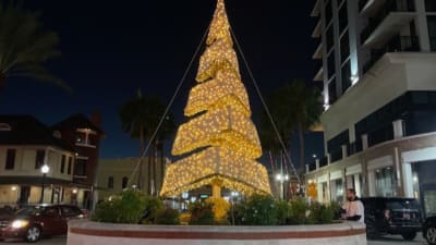 Christmas lights discount by the foot