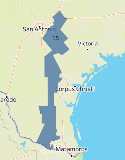 Republican Monica De La Cruz flips key South Texas House district