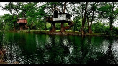 9 Texas treehouses you can rent for unique weekend getaway