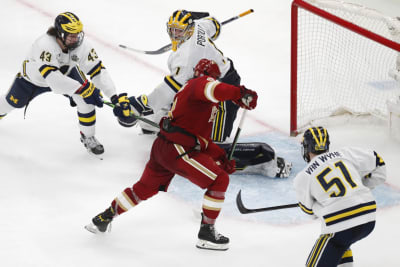 Meet the Teams: A capsule look at the Division 3 men's hockey Frozen Four, Sports