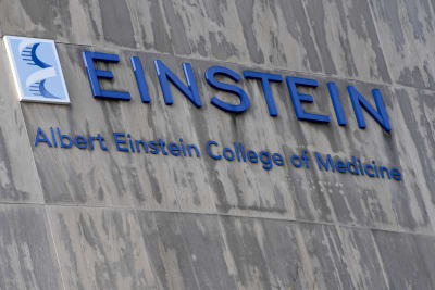 $1B donation makes New York medical school tuition free and transforms  students' lives