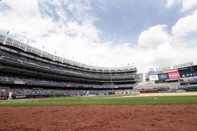 Matt Carpenter makes unique Yankees history homer off Shohei Ohtani