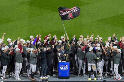 Diamondbacks' Lourdes Gurriel Jr. makes big impression with post-game vest  for teammates