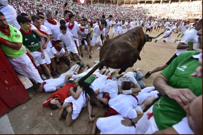 Joining the Running of the Bulls