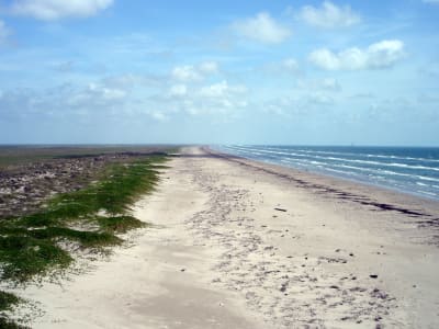 Nueces_County