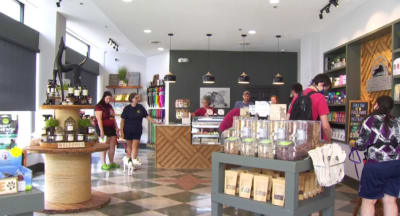 Roanoke dog boutique reopens new improved storefront
