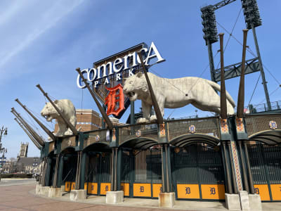 Jim Harbaugh takes on Comerica Park, khakis and all