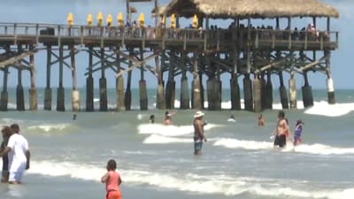 Topless Beach Live Webcam - Swimming alert lifted after fecal bacteria found in water near Cocoa Beach  Pier