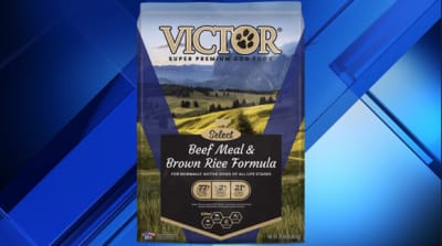 Victor beef dog food sales