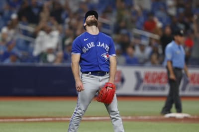 St. Petersburg, FL. USA; Toronto Blue Jays left fielder Lourdes