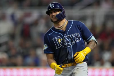 Rays 2022 roster breakdown