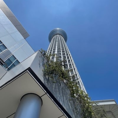 Time proven to tick faster on Tokyo Skytree than ground