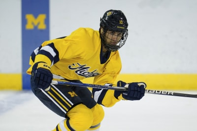 Boston Bruins adidas Hockey Fights Cancer Practice Jersey - Black