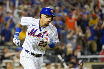 Dog Catches Home Run At New York Mets Game