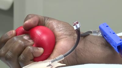 What's the rarest blood type? - South Texas Blood & Tissue