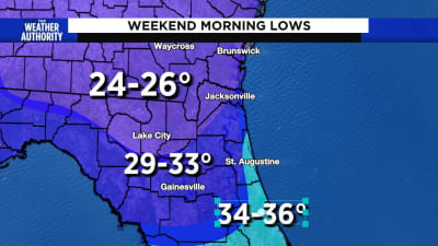 What is a hard freeze warning? Florida, Texas, Georgia under advisories