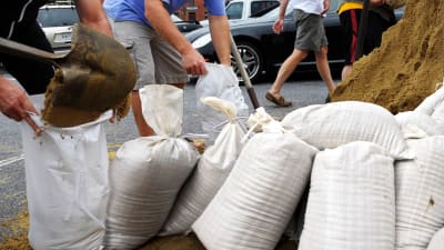 Spri sandbag new arrivals