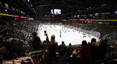 Arizona Coyotes on X: Bringing the Desert Night to life. More