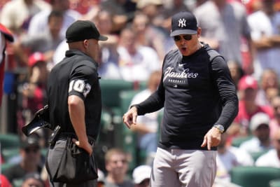 10 Secrets of MLB Umpires