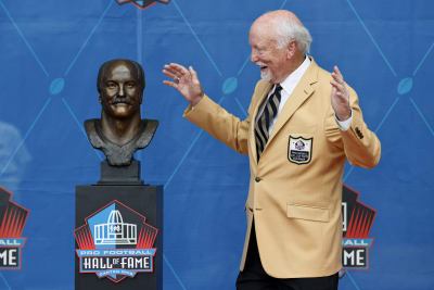 Pro Football Hall of Fame class has something for everybody