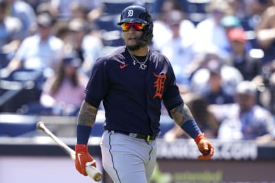 Tigers spring training outlet