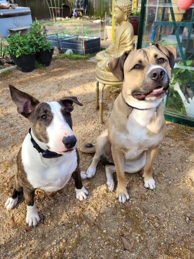 A post from Danielle O in Pasadena
