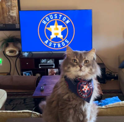 Pets love the Stros! Send photos of your fur baby supporting the Astros  through Click2Pins