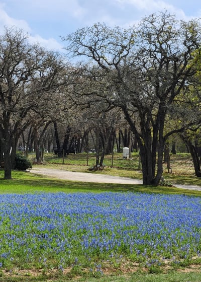 WPSL Soccer: San Antonio Blossoms v Houston TTi Bluebonnets