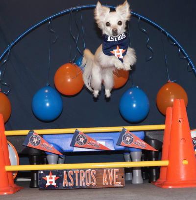 PHOTOS: These cute canines are the 'ulti-mutt' Astros fans!